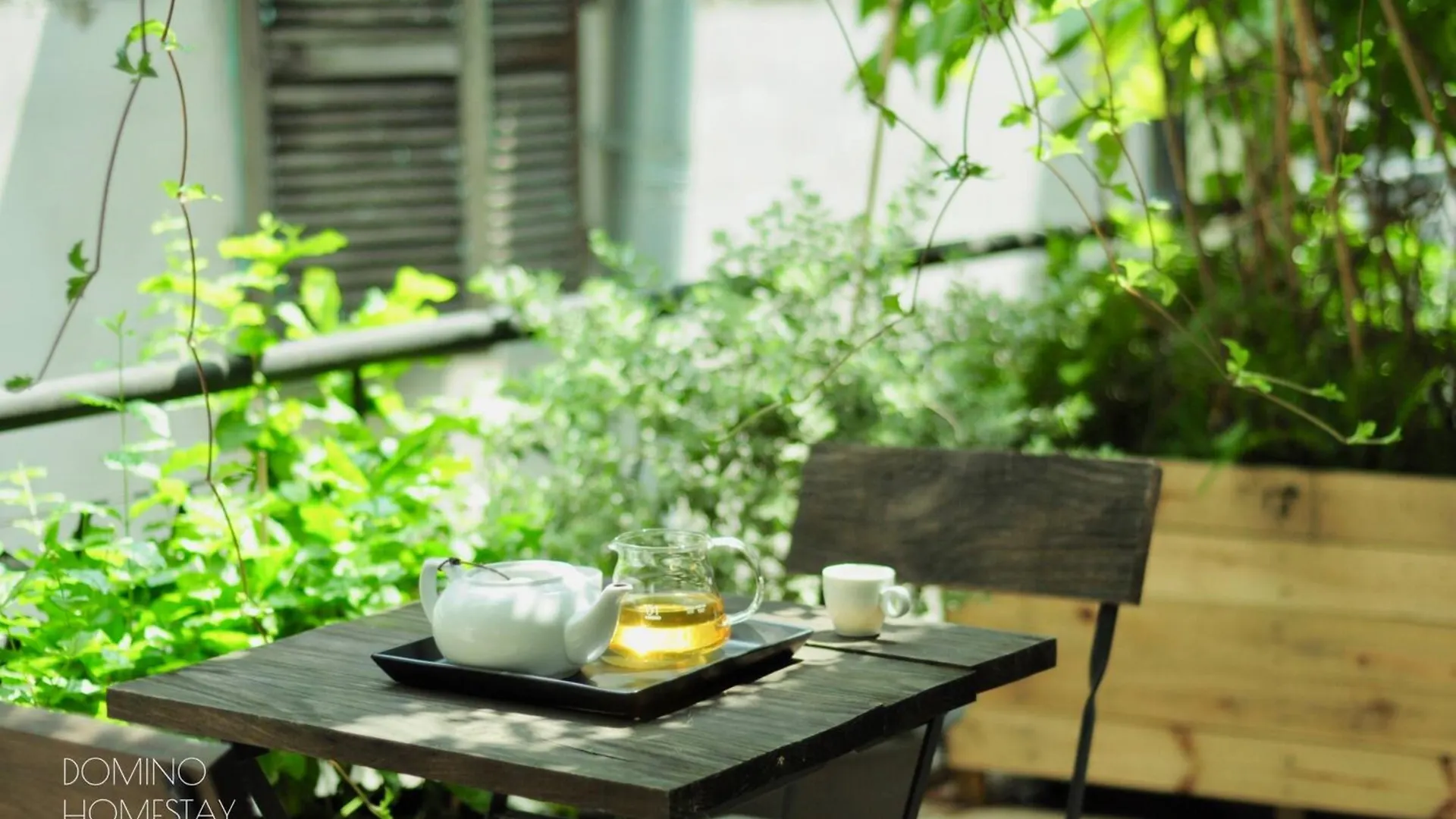 Domino Homestay Ho Chi Minh City Vietnam